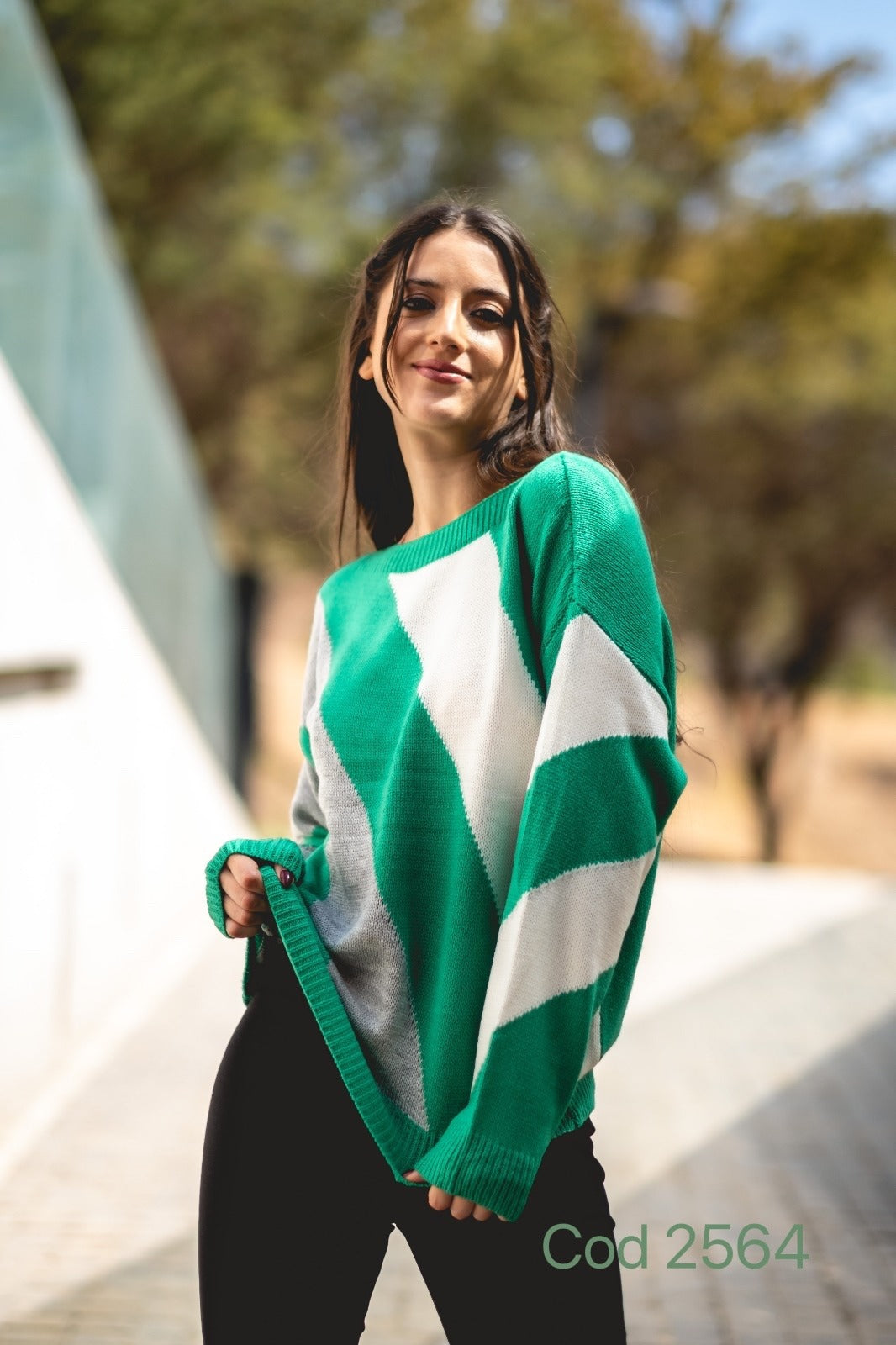 2564 - Sweater Cuello Bote de Lana
